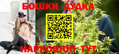 дживик Аргун