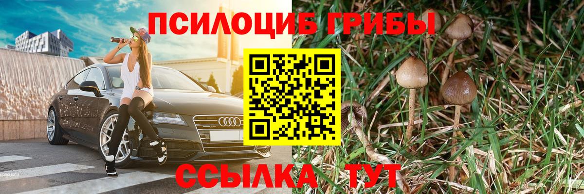 Галлюциногенные грибы мухоморы  Вход с VPN  Богородск 